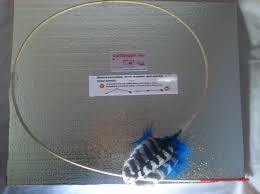 Blue Wild Turkey Wing Feather Toy