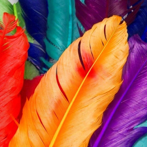 Wild Turkey Wing Feather Toy - Any Color!
