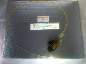 Natural Goose Feather Toy