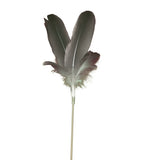 Natural Goose Feather Toy
