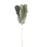 Natural Goose Feather Toy