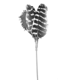Natural Wild Turkey Wing Feather Toy