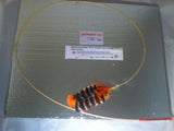 Wild Turkey Wing Feather Toy - Any Color!