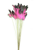 Pink Goose Feather Toy