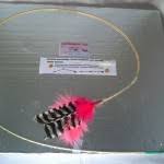 Pink Wild Turkey Wing Feather Toy