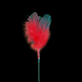Red Goose Feather Toy