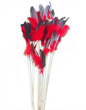 Red Goose Feather Toy