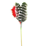 Red Wild Turkey Wing Feather Toy