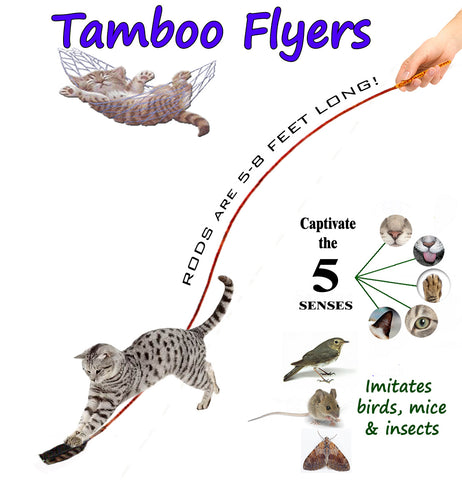 Tamboo Flyers
