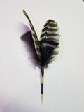 Replacement Lures - Natural Wild Turkey Wing Feather Toys