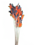 Orange Goose Feather Toy