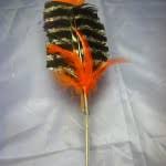Orange Wild Turkey Wing Feather Toy