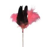 Pink Goose Feather Toy