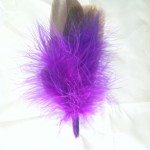 Goose Feather Toy - Any Color!