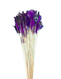 Purple Goose Feather Toy