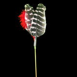 Red Wild Turkey Wing Feather Toy